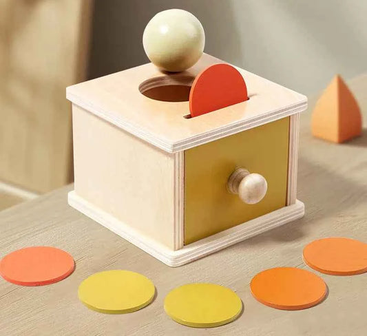 Jouet Montessori 2 en 1 – Boîte à formes et balles