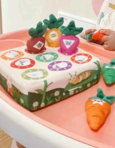 Jouet Montessori – Apprentissage des couleurs